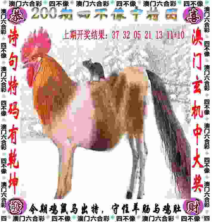 全国跳水冠军赛：朱子锋登顶男子10米台