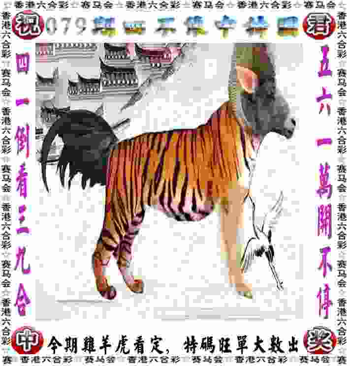 佩特拉·索林连任国际乒联主席